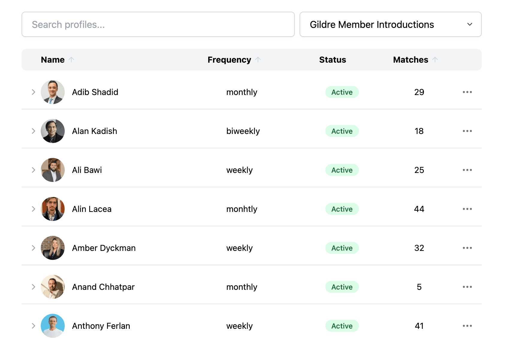 Auto Matching product preview
